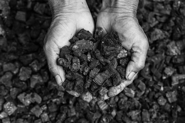 coal miner in the man hands of coal